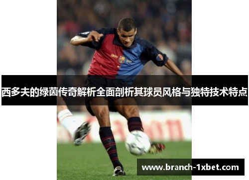 西多夫的绿茵传奇解析全面剖析其球员风格与独特技术特点