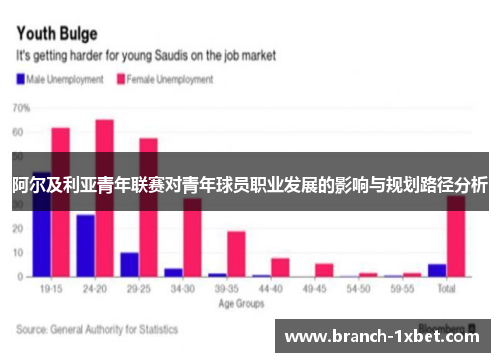 阿尔及利亚青年联赛对青年球员职业发展的影响与规划路径分析
