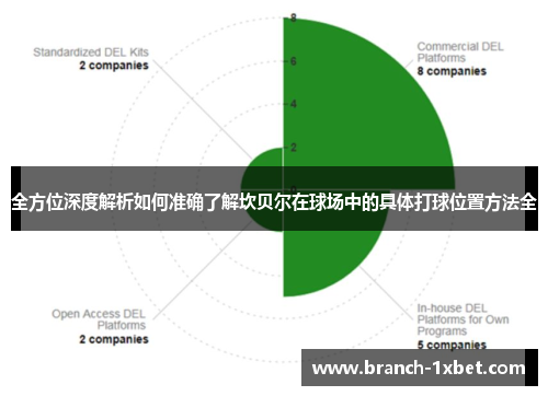 全方位深度解析如何准确了解坎贝尔在球场中的具体打球位置方法全