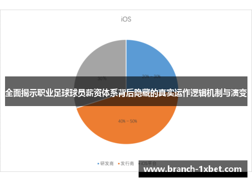 全面揭示职业足球球员薪资体系背后隐藏的真实运作逻辑机制与演变