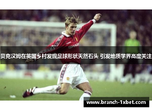 贝克汉姆在英国乡村发现足球形状天然石头 引发地质学界高度关注 贝克汉姆在英国乡村发现足球形状天然石头 引发地质学界高度关注