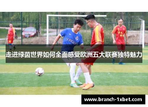 走进绿茵世界如何全面感受欧洲五大联赛独特魅力