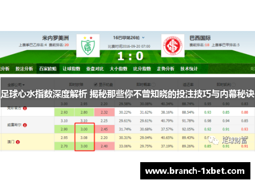 足球心水指数深度解析 揭秘那些你不曾知晓的投注技巧与内幕秘诀