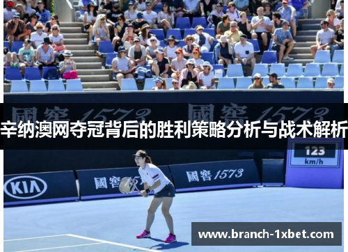 辛纳澳网夺冠背后的胜利策略分析与战术解析