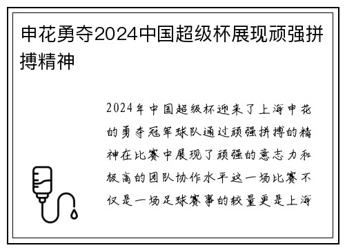 申花勇夺2024中国超级杯展现顽强拼搏精神 申花勇夺2024中国超级杯展现顽强拼搏精神
