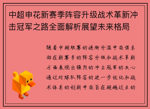 中超申花新赛季阵容升级战术革新冲击冠军之路全面解析展望未来格局
